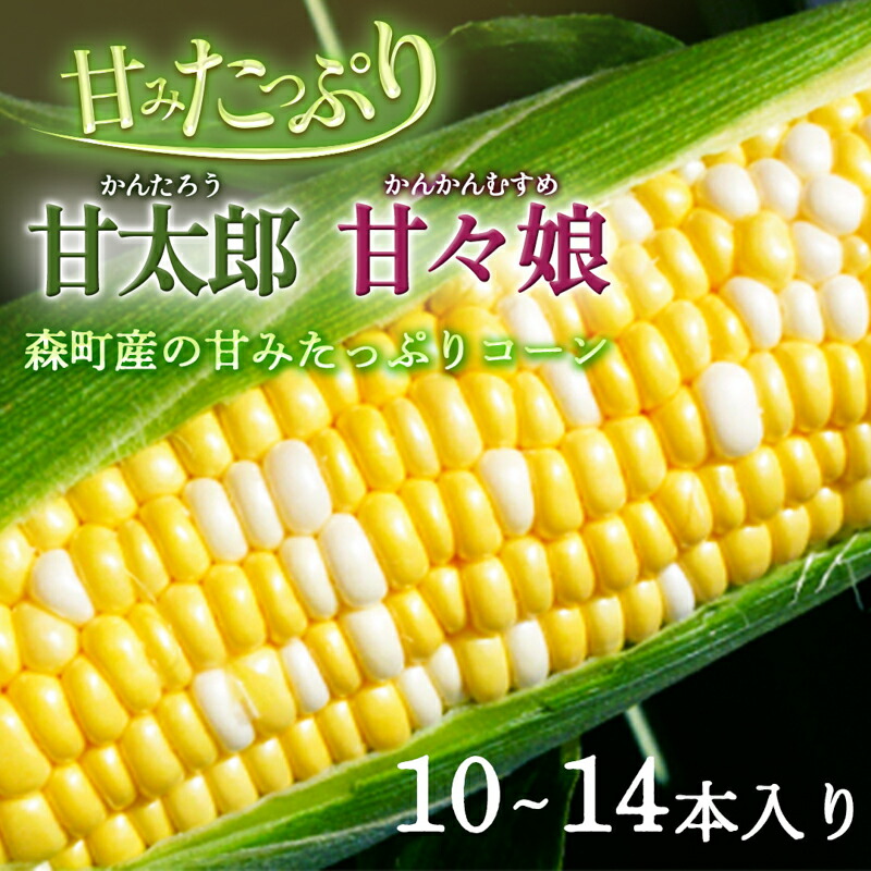 【ふるさと納税】先行予約 とうもろこし 10～14本入り 田中農園 甘い 野菜 夏野菜 旬 夏 高糖度 産地直送 旬の野菜 季節の野菜 おやつ コーン 森のとうもろこし ロイシーコーン 甘太郎 先行 予約 2025 2025年 静岡 静岡県 森町　お届け：2025年6月初旬～7月中旬