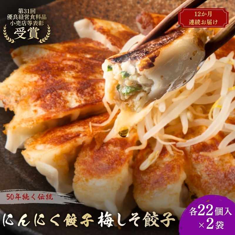 【ふるさと納税】にんにく餃子(22個入り×2袋)と梅しそ餃子(22個入り×2袋) 12ヶ月連続お届け 惣菜 冷凍餃子 中華 夕飯 夜ごはん おかず 食べ比べ おつまみ ビールのおつまみ |静岡県森町