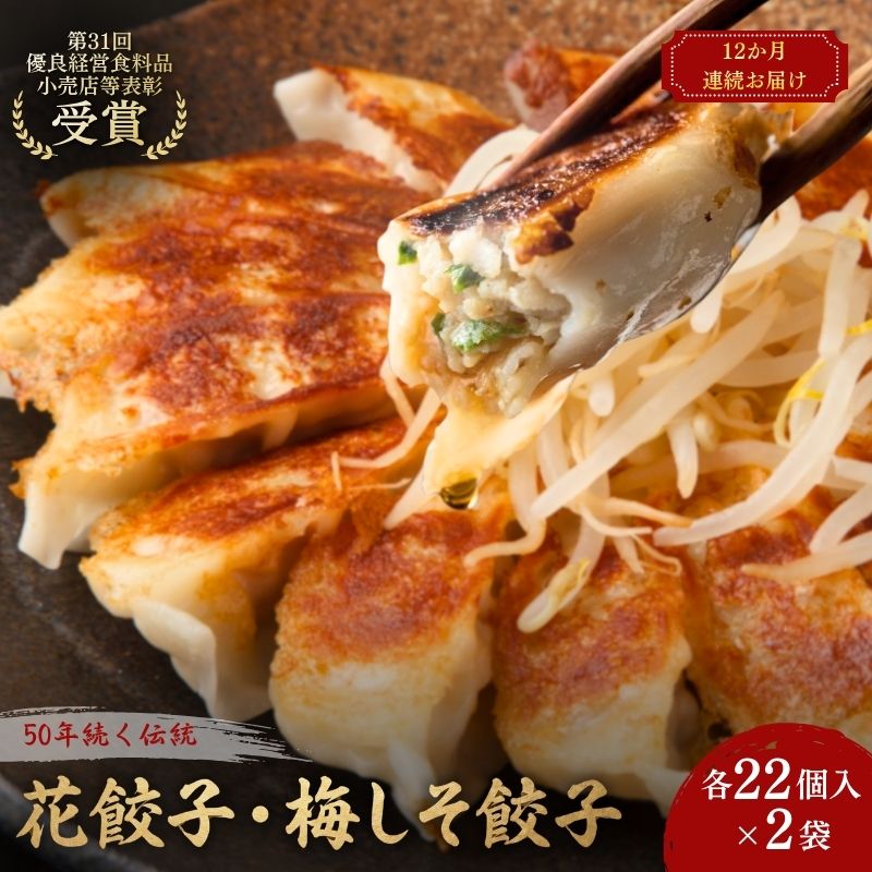 【ふるさと納税】花餃子(22個入×2袋)と梅しそ餃子(22個入×2袋)のセット 12ヶ月連続お届け 惣菜 冷凍餃子 中華 夕飯 夜ごはん おかず 食べ比べ おつまみ ビールのおつまみ |静岡県森町