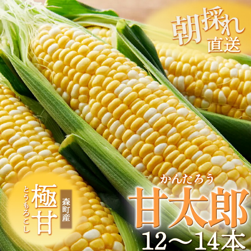 【ふるさと納税】とうもろこし 先行予約 森の甘太郎 12～14本 朝採り 森のとうもろこし 朝どれ 甘い 野菜 夏野菜 旬 夏 産地直送 旬の野菜 季節の野菜 新鮮野菜 おやつ コーン 先行 予約 2025 2025年 静岡 森町 冷蔵 冷蔵配送　お届け：2025年6月下旬～7月上旬