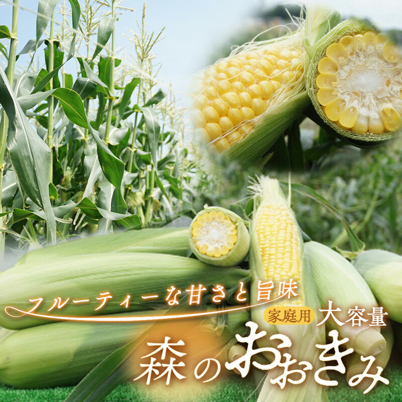 【ふるさと納税】森町産“森のおおきみ”平均糖度18度超え・朝採れスイートコーン（たっぷり大容量） とうもろこし スイートコーン 森のおおきみ 朝採れ 新鮮 大容量 フルーティー 上品 詰め合わせ 野菜 静岡県 森町　お届け：2026年6月8日～2026年7月12日まで