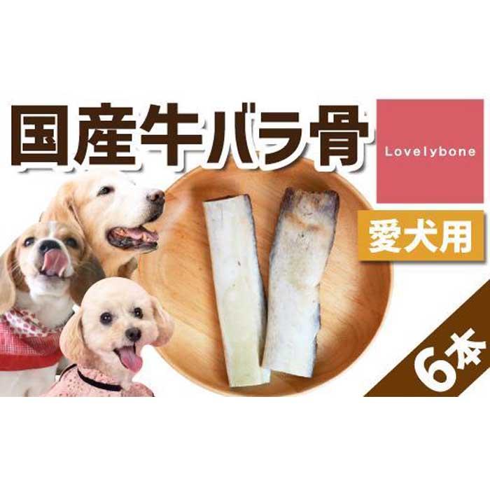 父の日特集