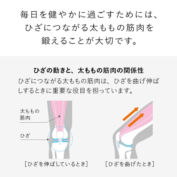 SIXPAD Knee Fit ダイエット | dermascope.com