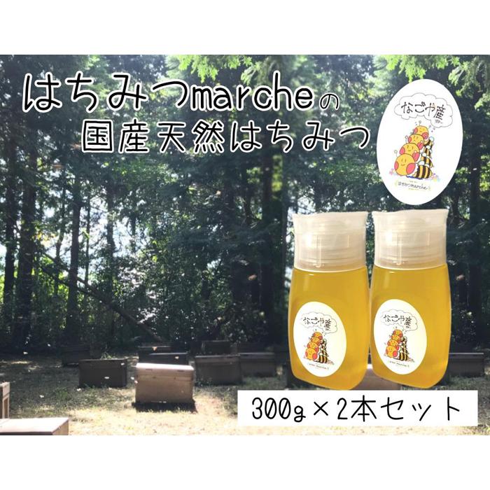 【ふるさと納税】なごやの天然はちみつボトル300g×2本セット