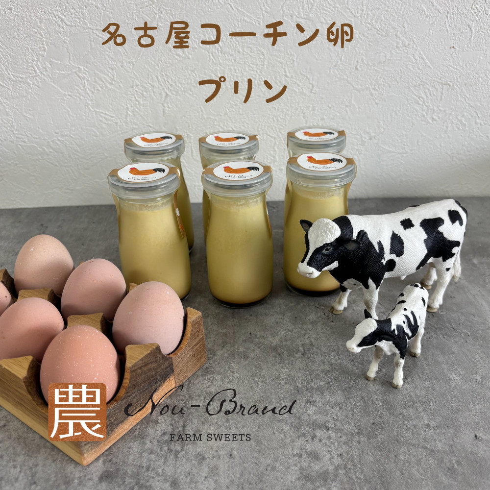 【ふるさと納税】名古屋コーチン卵　プリン（６個入り） 7,920円