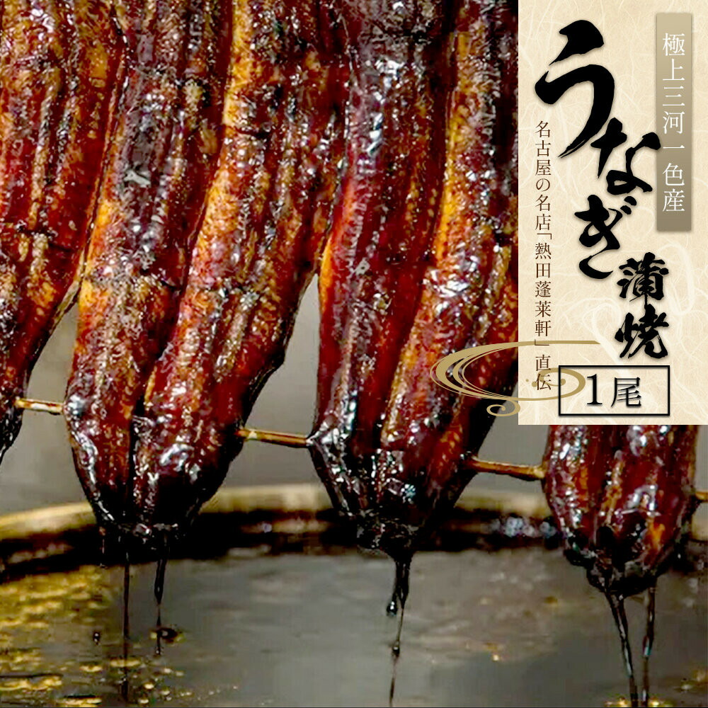 【新仔うなぎ】大サイズ140g -170g　三河一色産　10尾セット 国産うなぎ