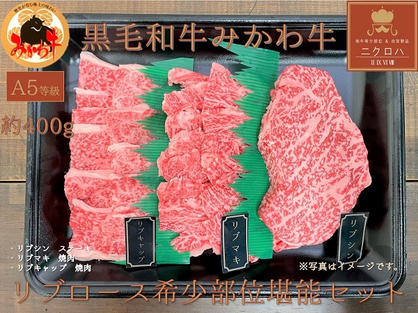 【ふるさと納税】黒毛和牛 みかわ牛 A5等級 希少部位堪能セット (ステーキ / 焼肉 ) リブロース(約450g)食べ比べ 牛肉 肉 焼き肉 焼肉セット 愛知県 豊橋市|愛知県豊橋市
