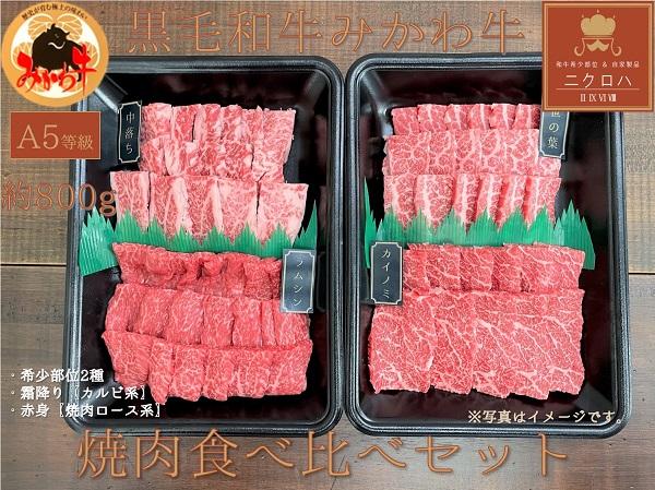 【ふるさと納税】黒毛和牛みかわ牛A5等級 食べ比べ焼肉セット たっぷり 1kg（希少部位2種：霜降り、赤身） 牛肉 肉 焼き肉 焼肉 愛知県 豊橋市
