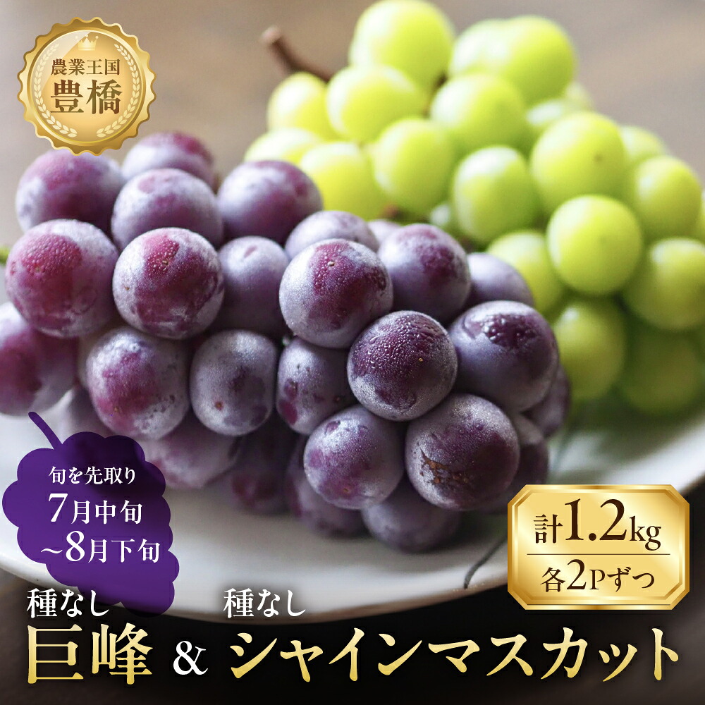 【ふるさと納税】≪先行予約 2026年産≫たっぷり1.2kg 豊橋産 皮ごと 種なしシャインマスカット300ｇ×2 種無し巨峰300ｇ×2 ブドウ ぶどう マスカット フルーツ 甘い 1.2キロ 果物 豊橋市 愛知県 ギフト プレゼント お祝い セット 詰め合わせ 旬 食べ比べ 高級 希少