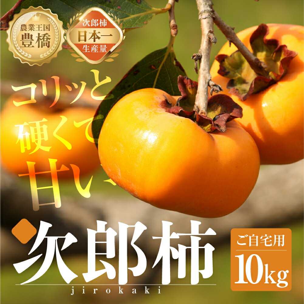 【ふるさと納税】≪先行予約≫  生産量日本一 豊橋石巻産 次郎柿 ご自宅用 10kg 柿 訳あり 不揃い (30～50玉) 甘柿 果物 フルーツ 10月 11月 愛知県 豊橋市