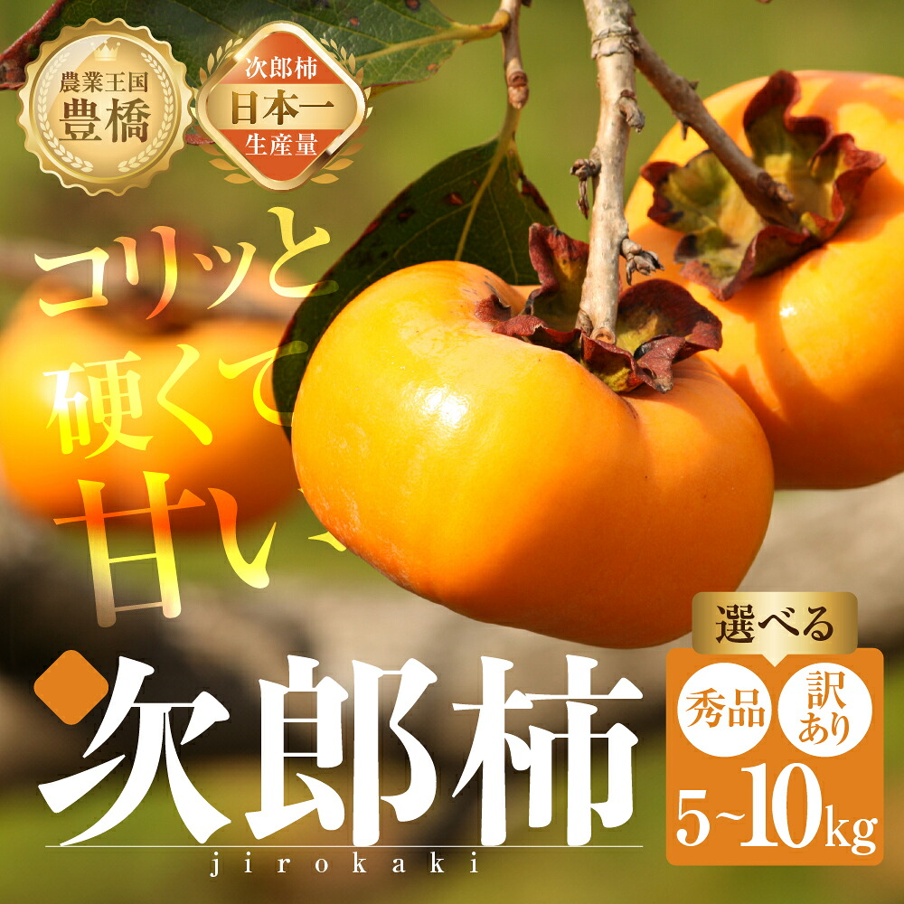 【ふるさと納税】≪先行予約≫生産量日本一！豊橋の秋の味覚 豊橋石巻産次郎柿 5kg ~10kg 【選べる 秀品 / 訳あり】柿 かき カキ 果物 フルーツ 旬 旬の果物 訳あり わけあり 秀品 贈答 ギフト ご自宅用 2025年産 2026年産 令和7年 令和8年 甘柿 甘い 愛知県 豊橋市 7,400円