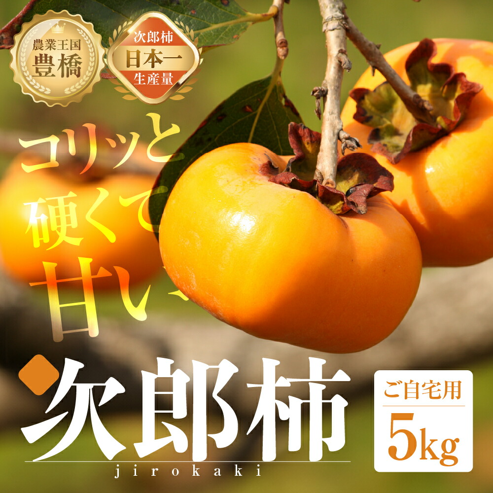 【ふるさと納税】≪先行予約≫  生産量日本一 豊橋石巻産 次郎柿 ご自宅用 5kg 柿 訳あり 不揃い (15～25個) 甘柿 果物 フルーツ ワケアリ 訳アリ 旬 10月 11月 10000円 1万円 カキ 愛知県 豊橋市