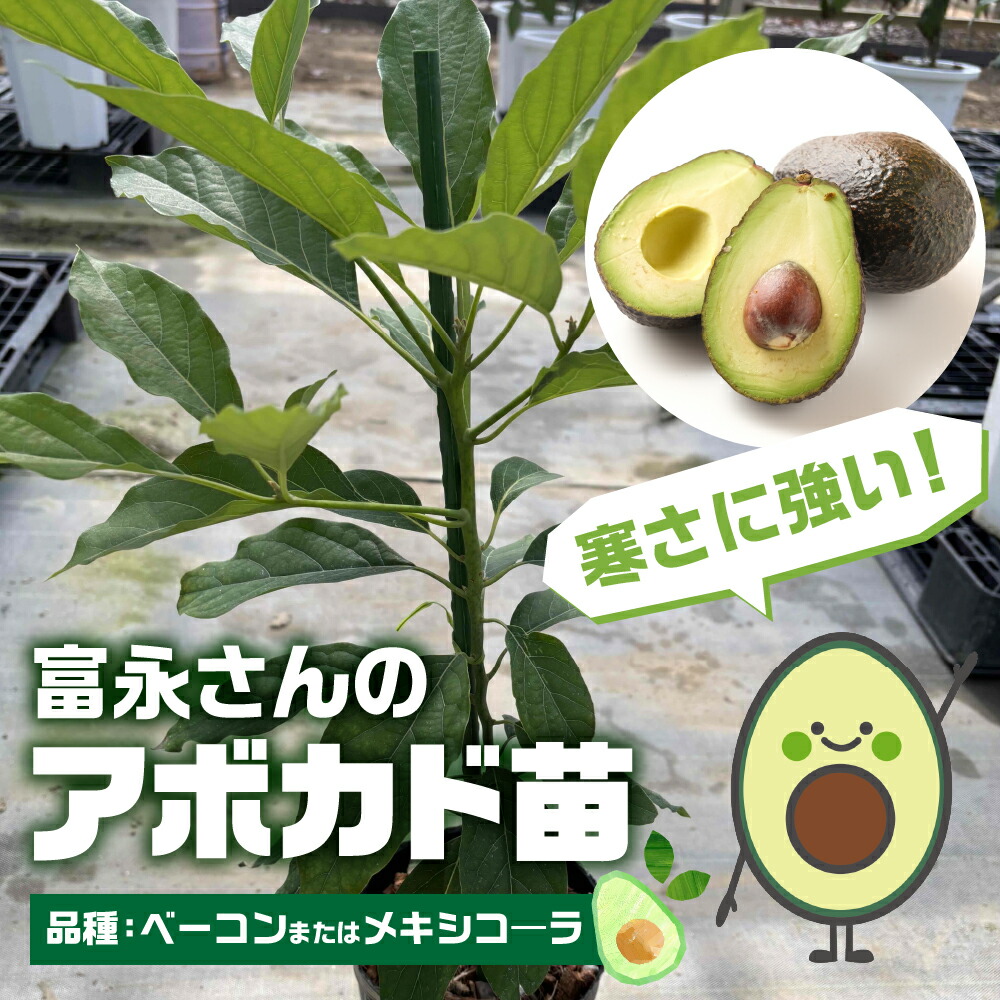 2026 土用の丑特集