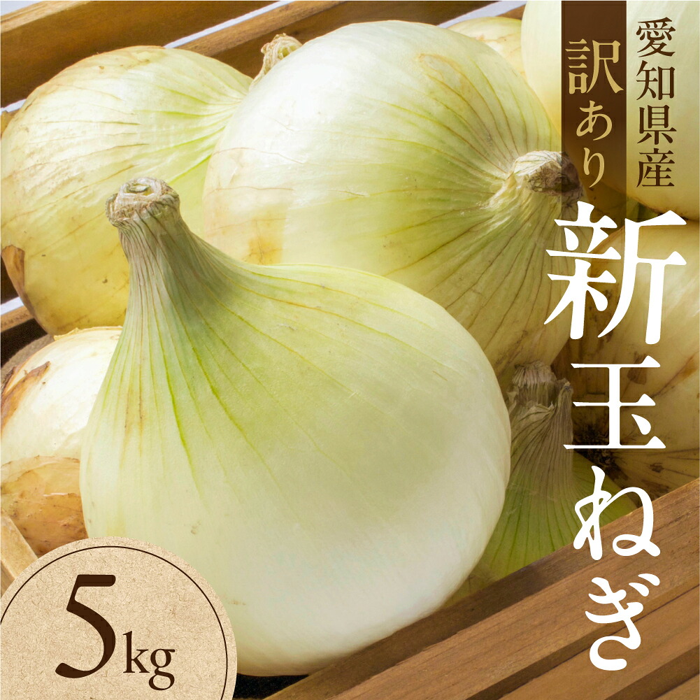 【ふるさと納税】新玉ねぎ 大玉 訳あり 5kg（小傷・変形）5キロ 新玉 玉ねぎ タマネギ 玉葱 野菜 旬 旬の野菜 甘い サラダ 健康 農家 やさい わけあり ワケアリ 規格外 自宅 家庭 お取り寄せ 人気 鮮度 新鮮 生 糖度 愛知県 豊橋市