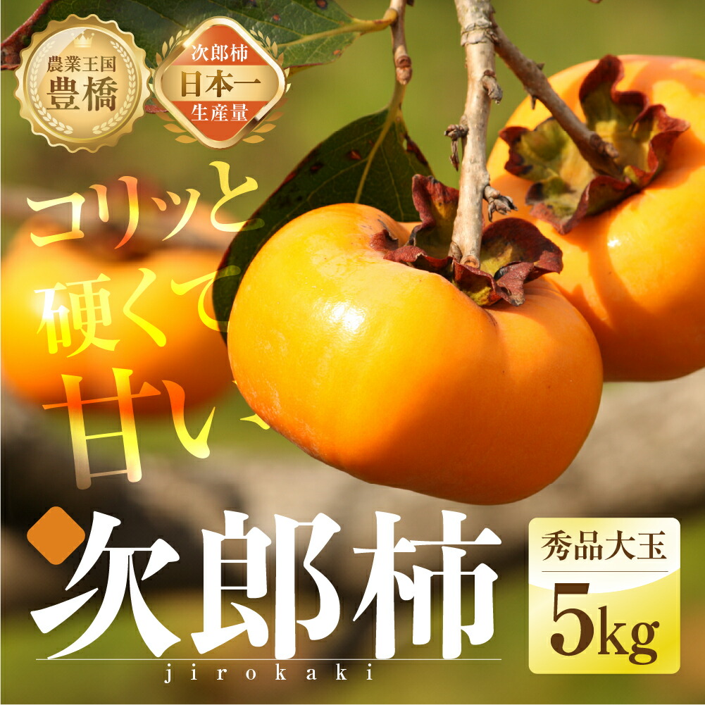 【ふるさと納税】≪先行予約≫   生産量日本一 石巻産 次郎柿 ５kg（秀品 大玉）（15～20玉）柿 甘柿 果物 フルーツ 10月 11月 愛知県 豊橋市