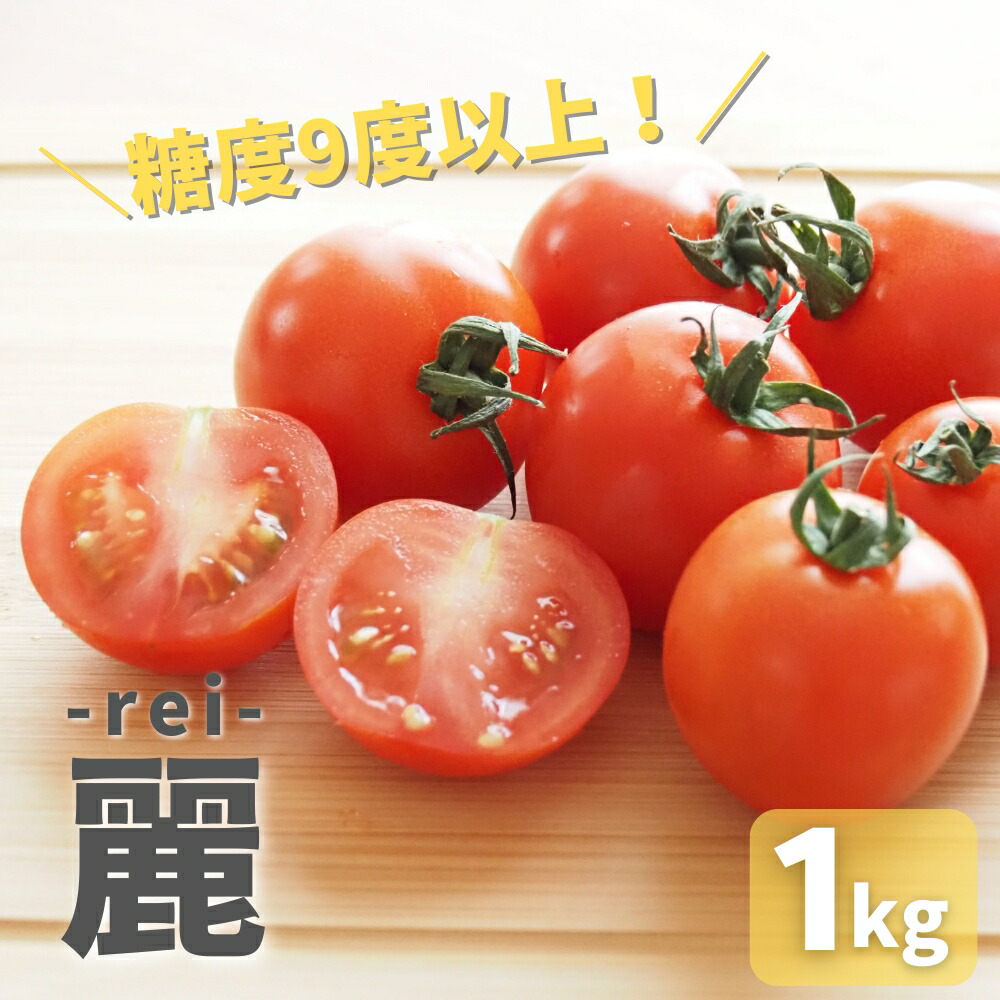 【ふるさと納税】≪先行予約≫糖度9度以上　高糖度 ミニトマト『麗（れい）』1kgバラ トマト 愛知県 豊橋市 ブランドトマト 野菜 赤