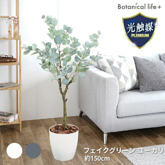 【ふるさと納税】フェイクグリーン ユーカリ 150cm 光触媒加工 鉢付き インテリア 抗菌 消臭 愛知県 豊橋市 送料無料 58000円|愛知県豊橋市