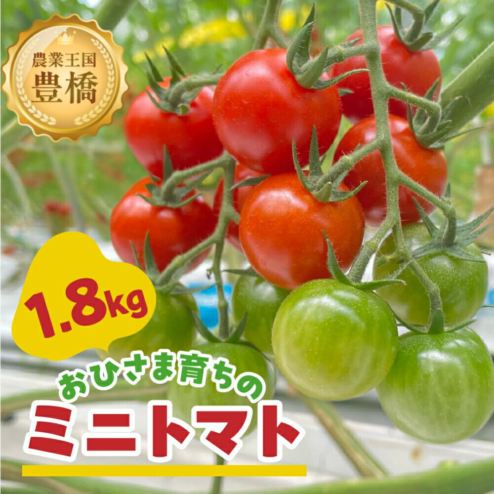 【ふるさと納税】おひさま育ちのミニトマト　1.8kg　野菜 やさい 愛知県 豊橋市