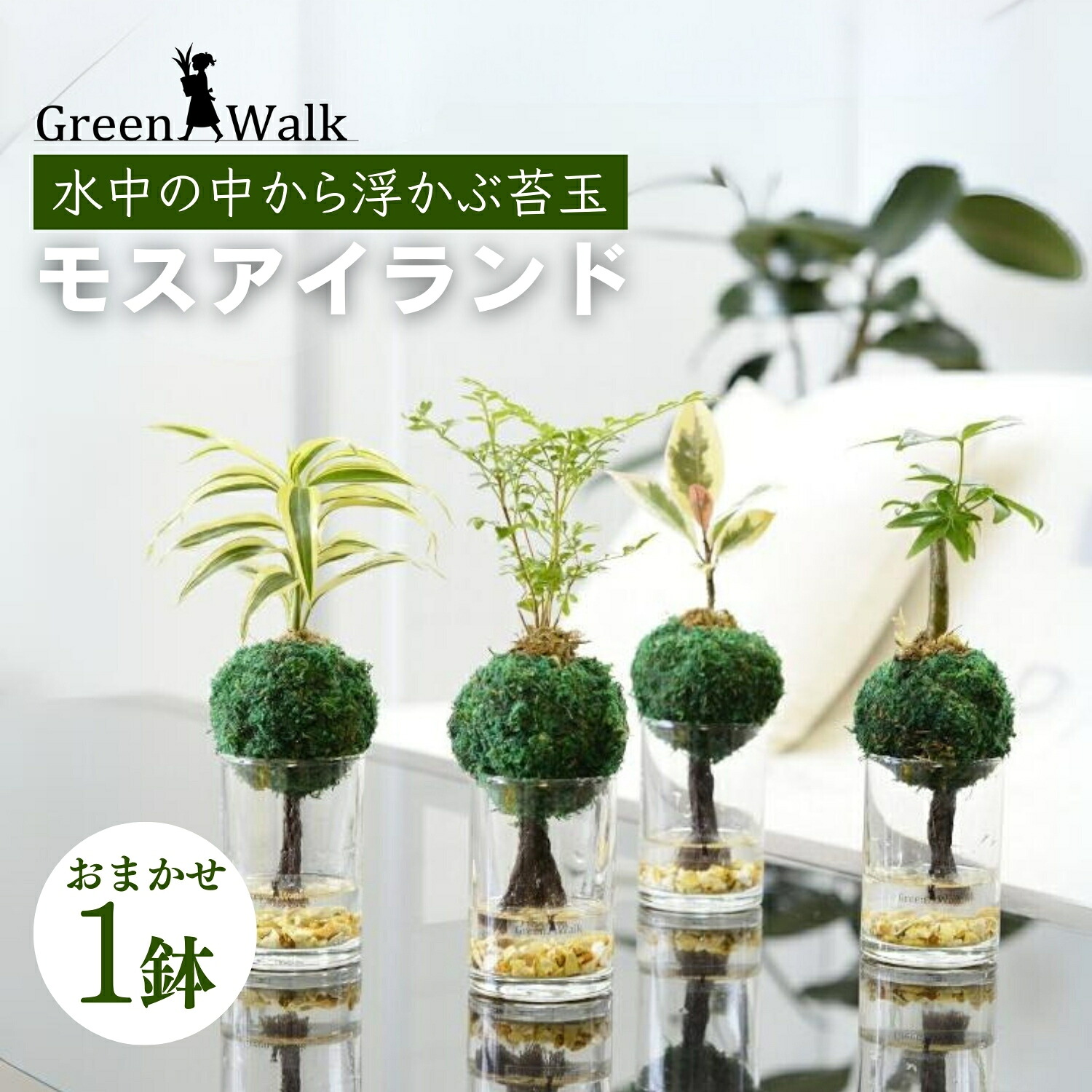 2026 土用の丑特集