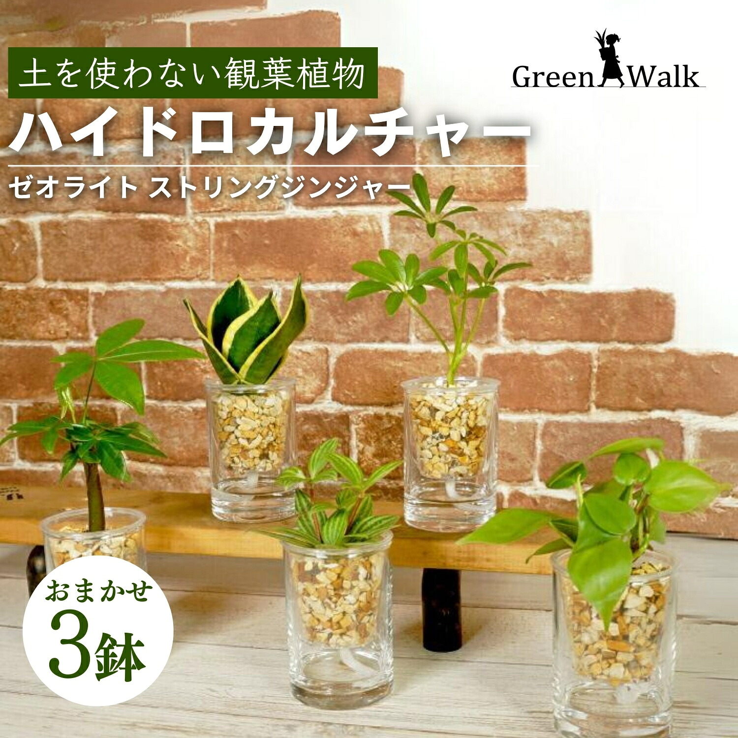2026 土用の丑特集