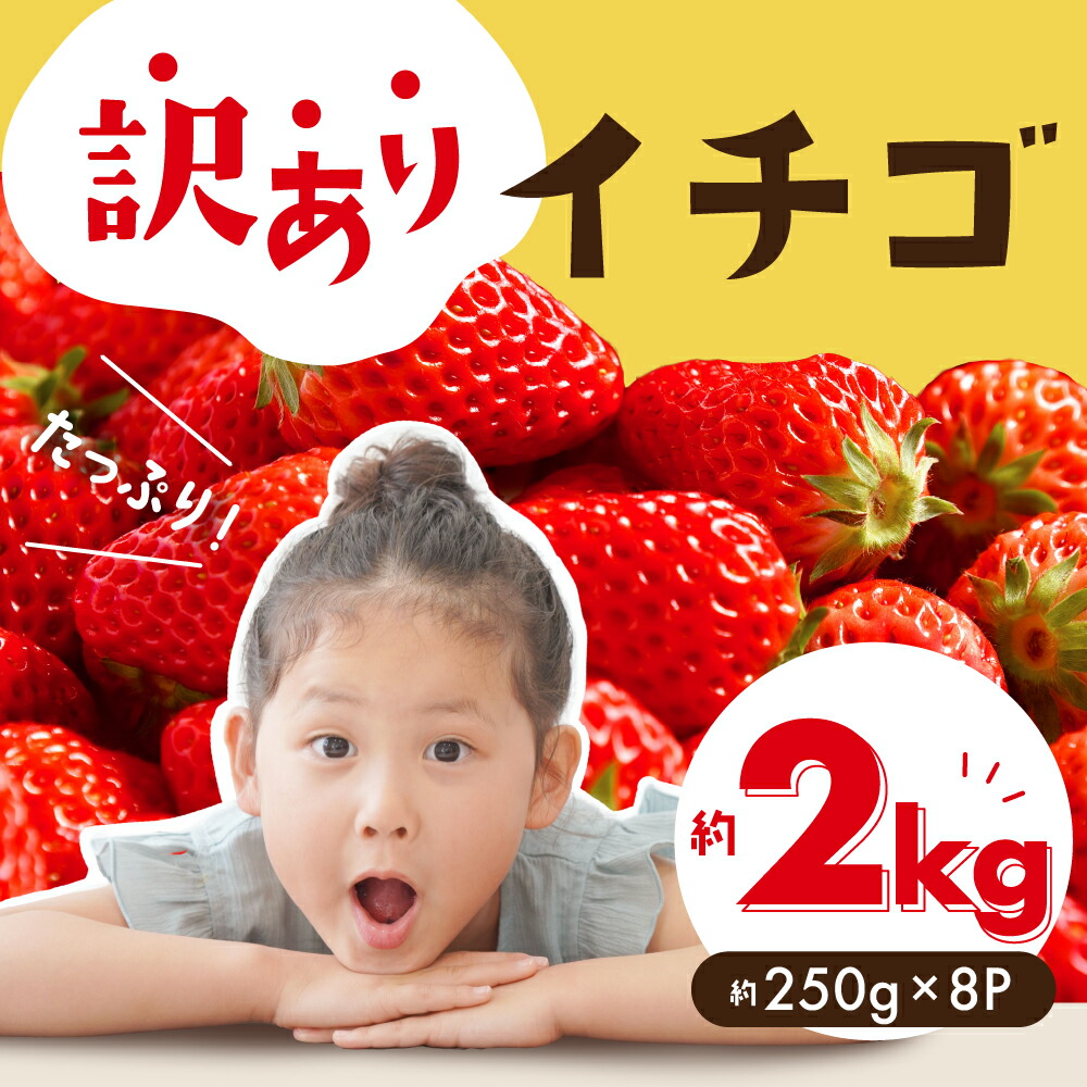 【ふるさと納税】≪先行予約≫ ブランドイチゴ たっぷり 約2kg 訳あり (約250g×8パック) 詰め合わせ イチゴ いちご 苺 ブランドイチゴ 果物 フルーツ スイーツ おやつ 紅ほっぺ ゆめのか スターナイト ワケアリ わけあり 家庭用 高糖度 甘い 産地直送 旬 愛知県 豊橋市