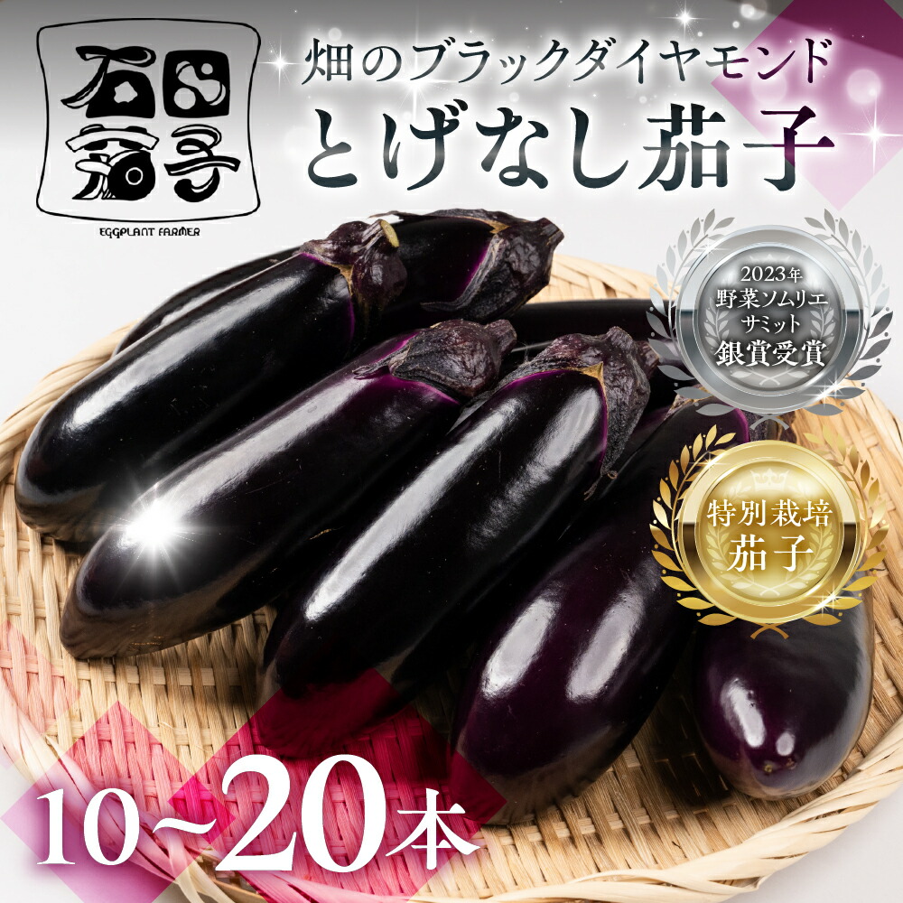 楽天市場】【ふるさと納税】Heartich Farm 旬の野菜セット (ナス