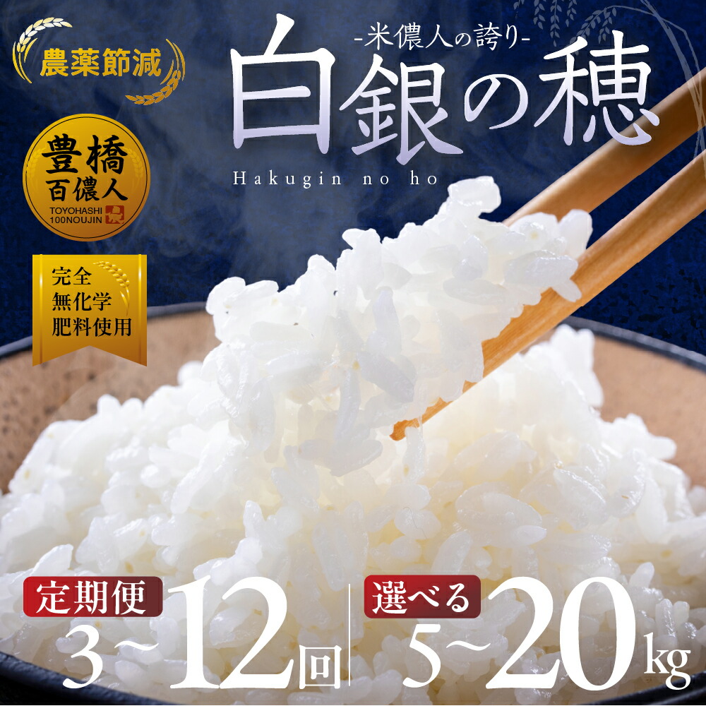 【ふるさと納税】＼高評価★5／白銀の穂 5kg 10kg 20kg 選べる 定期便《3回 / 6回 / 12回》白米 お米 大容量  6か月 10キロ 20キロ  おこめ 米 こめ コメ ふるさと納税米 ブランド米 令和6年 令和7年 新米 こしひかり コシヒカリ ランキング 送料無料 愛知県 豊橋市