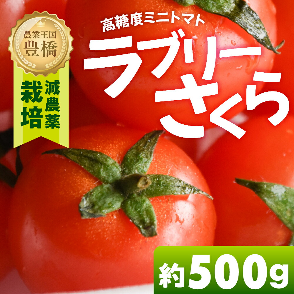 【ふるさと納税】あま～い！ミニトマト 約 500g トマト ミニトマト 濃厚 甘い 美味しい 高糖度 完熟 tomato とまと やさい 自然 安心安全 旬 送料無料 愛知県 豊橋市