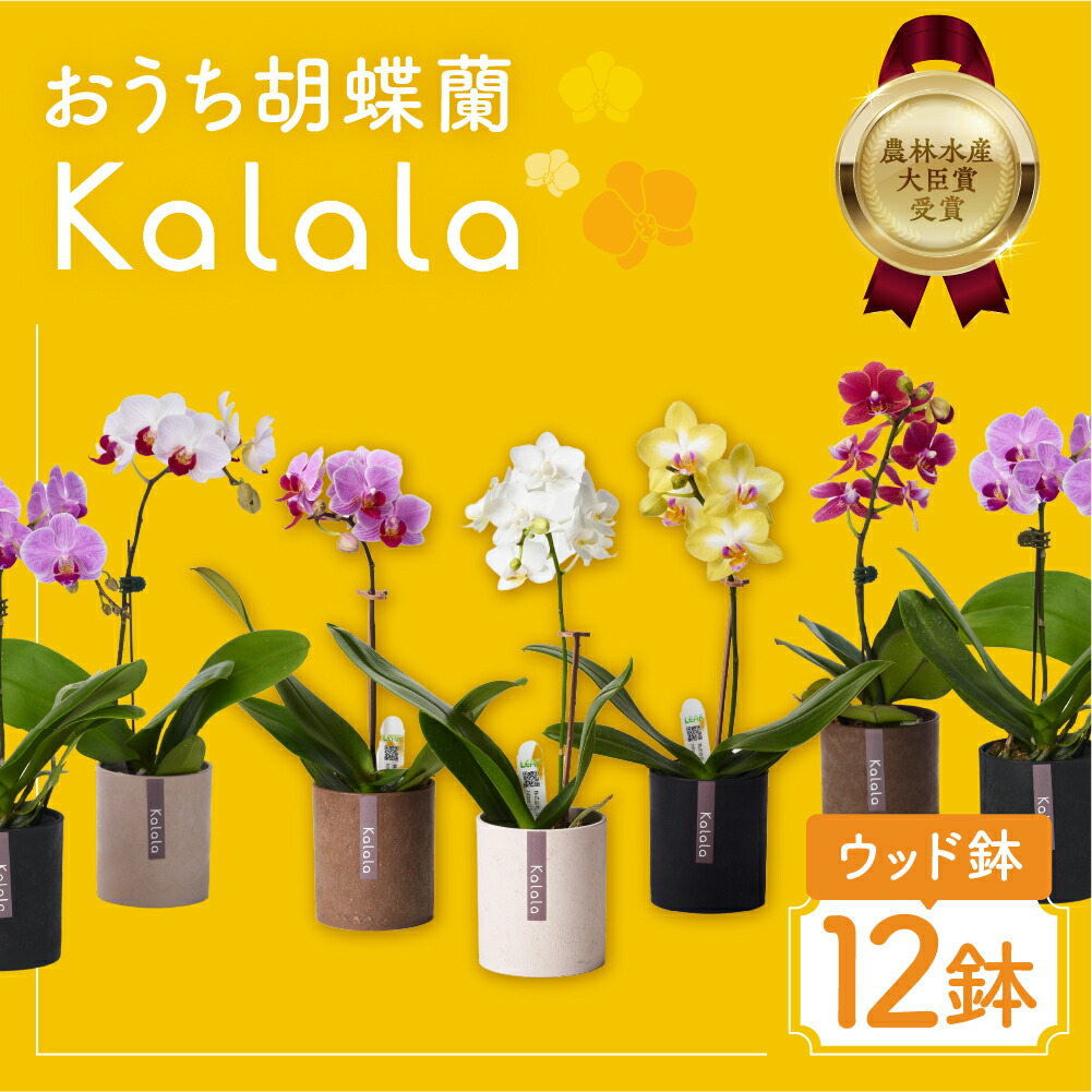 2026 土用の丑特集