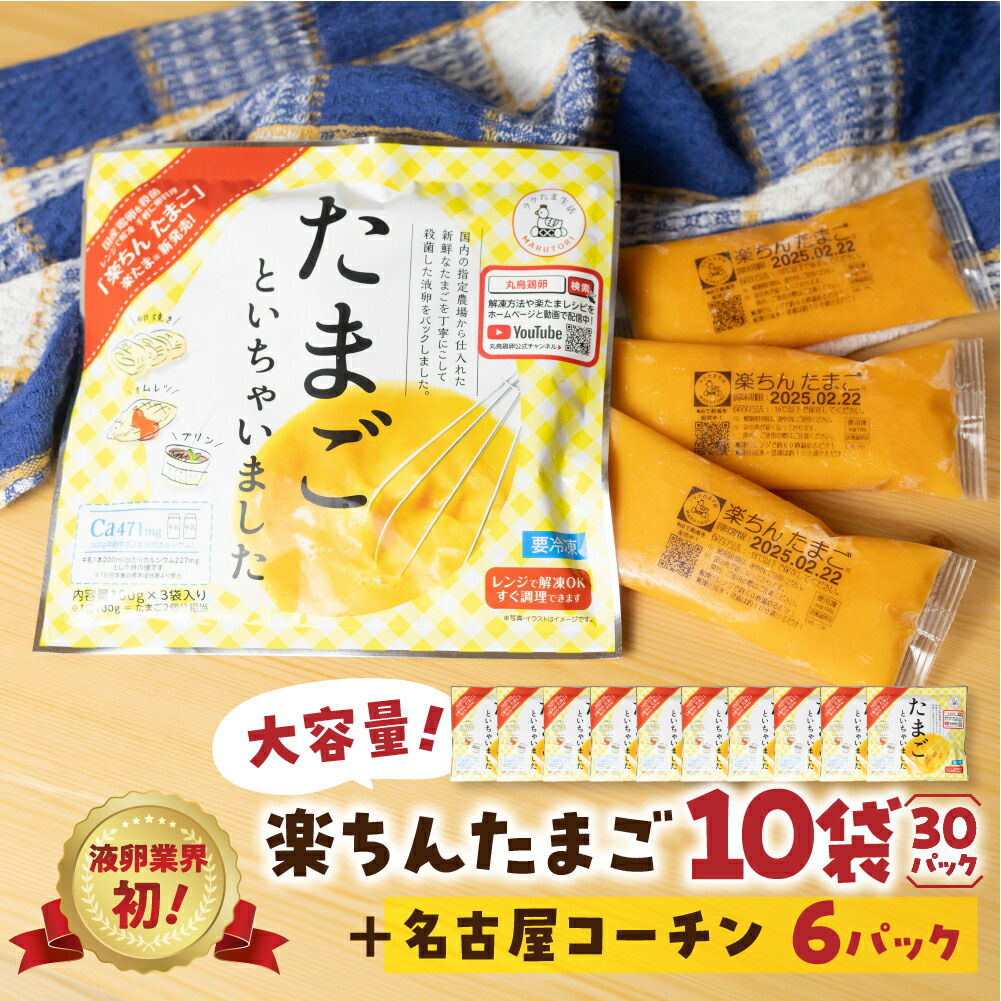 【ふるさと納税】楽ちんたまご 100ｇ× 3パック入り 10袋  名古屋コーチン おまけ付き 液卵 時短 便利 ストック 冷凍 たまご 卵 お弁当 料理 おいしい 地鶏 おまけ 冷凍液卵 愛知県 豊橋市
