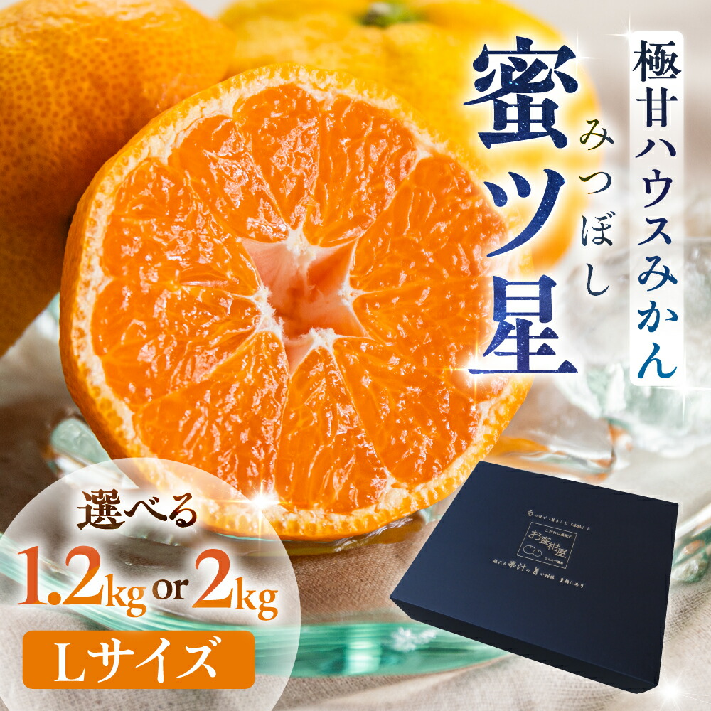 【ふるさと納税】≪先行予約≫ 超濃厚ハウスみかん『蜜ツ星』 秀品 選べる 1.2kg / 2kg (Lサイズ10玉 ～18玉) みかん 高級 高糖度 ギフト 贅沢 蜜柑 ミカン 柑橘 フルーツ 数量限定 季節限定 濃厚 化粧箱入り Lサイズ 詰め合わせ 豊橋