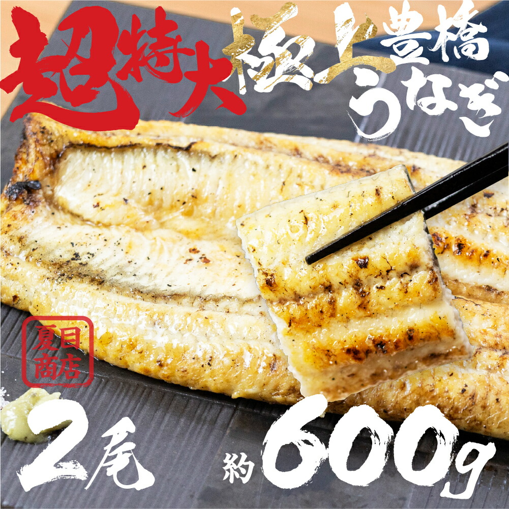 【ふるさと納税】希少 極上 豊橋うなぎ 特大 2尾 ~600g白焼 厳選 国産 鰻 簡易包装 訳あり ウナギ うなぎ 鰻 白焼 夏目商店 ギフト 配布 最高級 ひつまぶし 土用丑の日 ギフト 冷凍 増量 丑の日 簡単調理 父の日 豊橋うなぎ unagi お取り寄せ 送料無料 愛知県 豊橋市|愛知県豊橋市