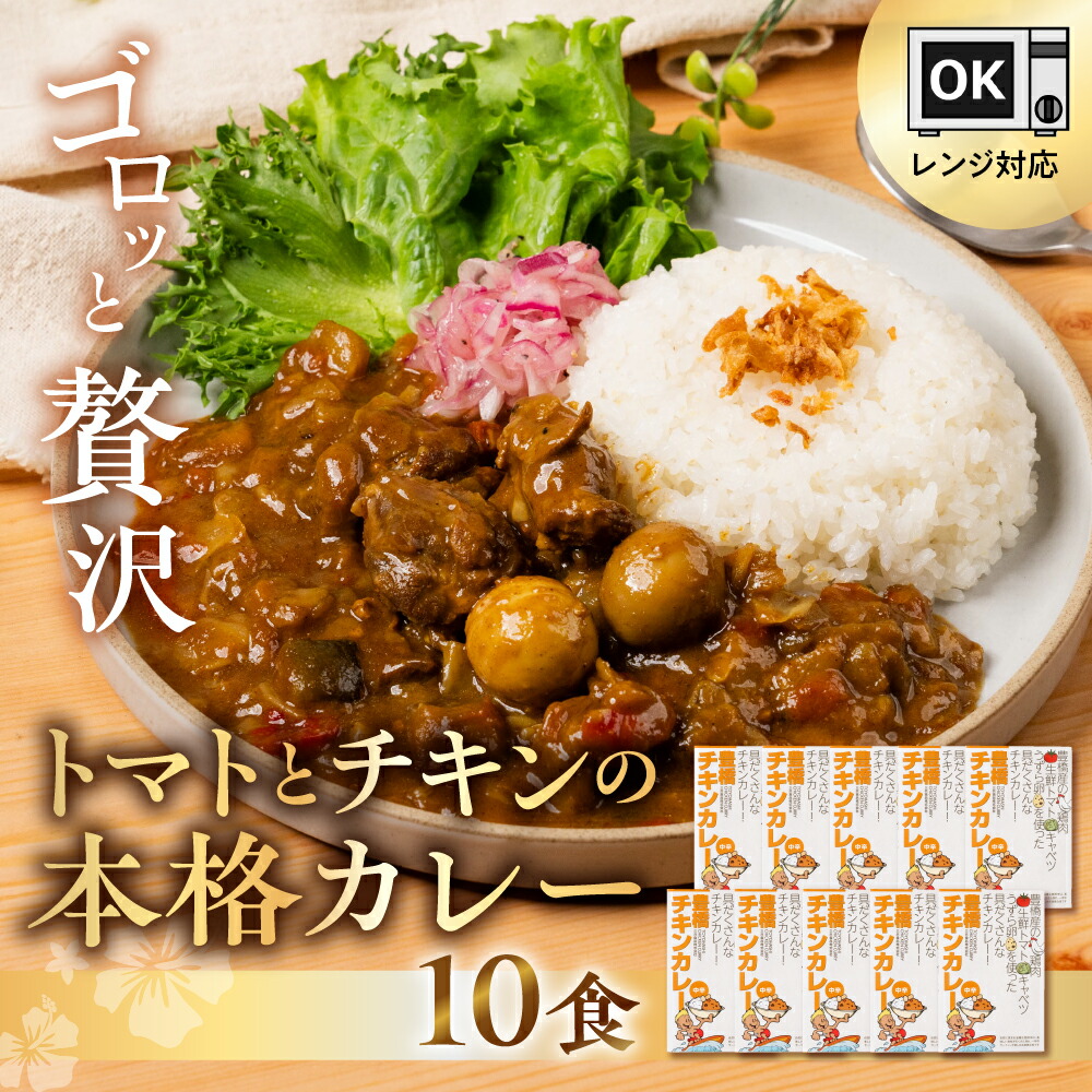 【ふるさと納税】豊橋チキンカレー 10個セット カレー レトルトカレー 常温保存 備蓄 本格カレー 本格的 チキンカレー トマトカレー セット 詰め合わせ 常備 ご当地カレー 人気 常温 簡単 簡単調理 電子レンジ対応 レンジ キャンプ 時短 便利 夕飯 愛知県 豊橋市｜愛知県豊橋市