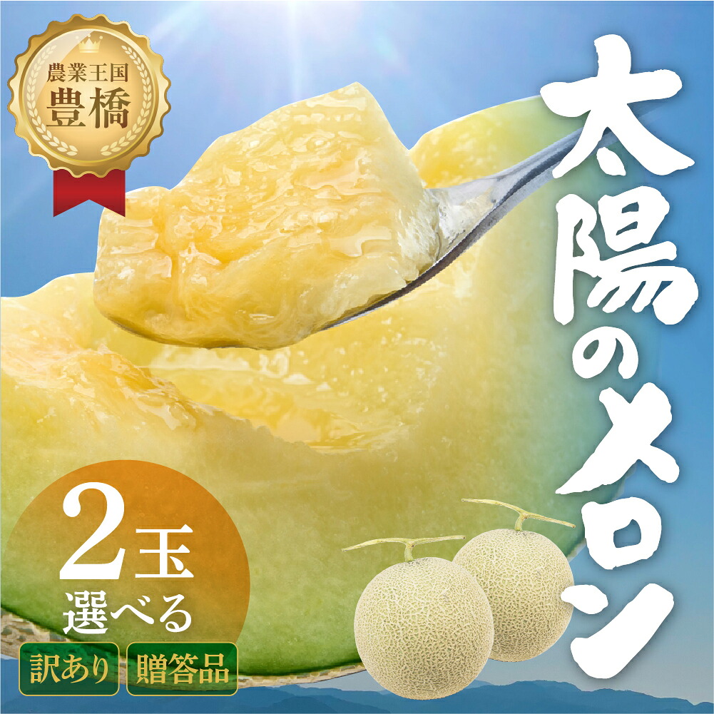 【ふるさと納税】≪先行予約 2026年発送≫ 温室マスクメロン 2玉 選べる【贈答 / 訳あり】めろん メロン マスクメロン 訳あり わけあり 贈答 ギフト プレゼント お中元 果物 フルーツ デザート 旬 規格外 旬の果物 高糖度 糖度 1万円 10000円 愛知県 豊橋市|愛知県豊橋市