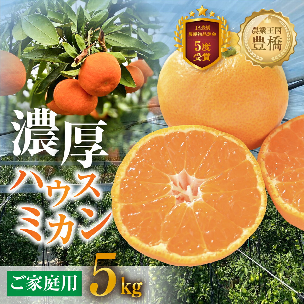 【ふるさと納税】≪今が旬！ 2026年発送≫ハウスミカン 家庭用 5kg 訳あり 5キロ みかん ハウスみかん オレンジ 国産 フルーツ 果物 蜜柑 高糖度 甘い 濃厚 ビタミン 柑橘 産地直送 旬 美味しい ジュース 自宅用 ご家庭用 訳アリ 愛知県 豊橋 20000円 2万円｜愛知県豊橋市