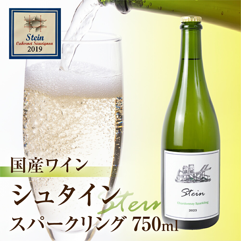 【ふるさと納税】Stein シュタイン スパークリングワイン 1本 石巻産葡萄100%使用 ワイン 国産 スパークリング ワイン|愛知県豊橋市