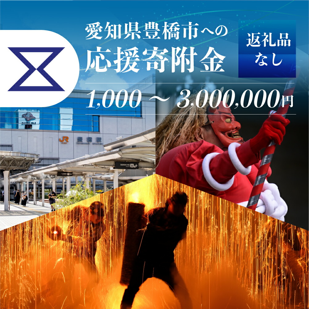 【ふるさと納税】≪返礼品なし≫ 1000円 ~ 300万円 愛知県豊橋市への寄附 返礼品無し 寄附のみ 豊橋市 穂の国 東三河 1000円 3000円 5000円 10000円 30000円 50000円 10万円 30万円 50万円 100万円 200万円 300万円 1000円ポッキリ|愛知県豊橋市