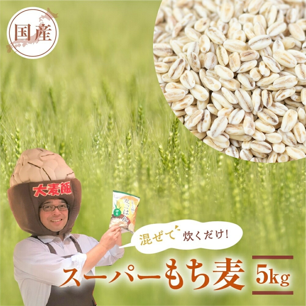 【ふるさと納税】国産スーパー もち麦 毎日食べたいたっぷり 5kg 食物繊維 たっぷり もちむぎ 雑穀米 健康 愛知県 豊橋市|愛知県豊橋市