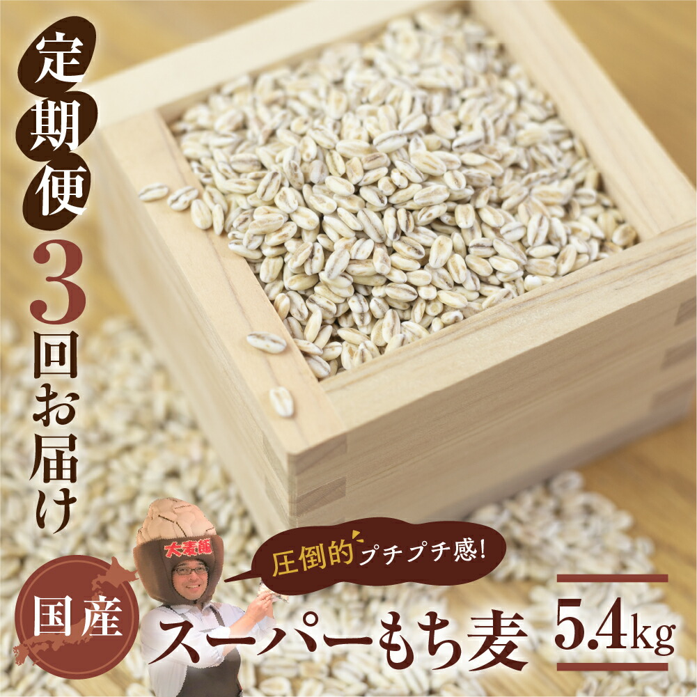 【ふるさと納税】国産スーパー もち麦 3回定期便 （1.8kg × 3）計5.4kg 月に1回お届け 食物繊維 たっぷり もちむぎ 麦 麦ごはん 麦味噌 麦みそ 混ぜて炊くだけ 雑穀米 健康 定期便 3回 愛知県 豊橋市 24000円