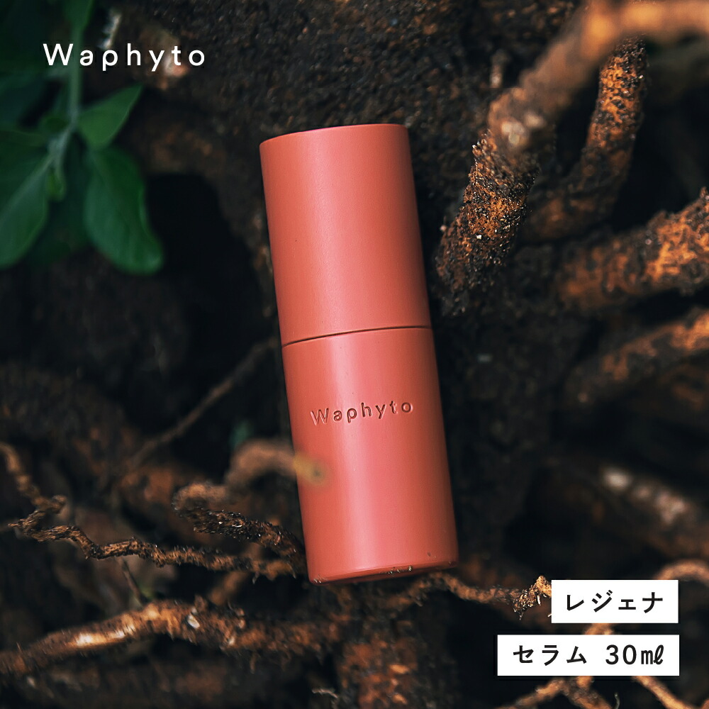 【piiiiさん専用】エバウィッシュ乳液 piiiiさん専用】エバウィッシュ乳液 piiiiさん専用】エバ