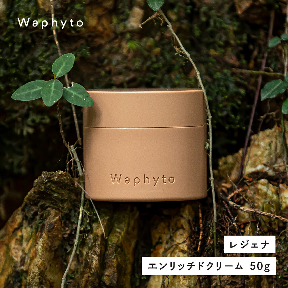 【ふるさと納税】Waphyto レジェナ エンリッチドクリーム 50g ワフィト 化粧品 クリーム 保湿クリーム スキンケア コスメ 保湿ケア ギフト プレゼント おすすめ おススメ 美容 愛知県 豊橋市 21,300円