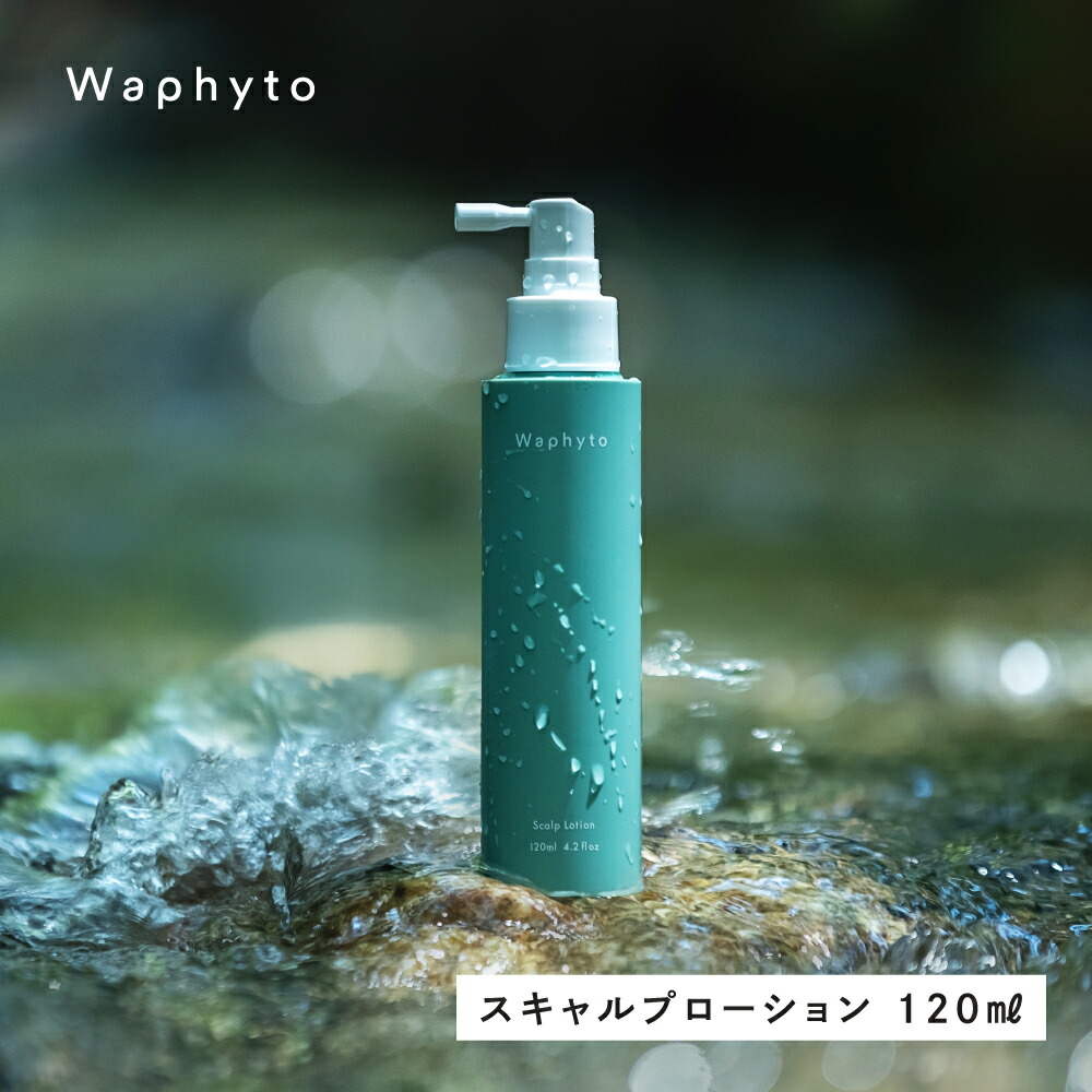 楽天市場】【ふるさと納税】Waphyto 化粧水乳液セット