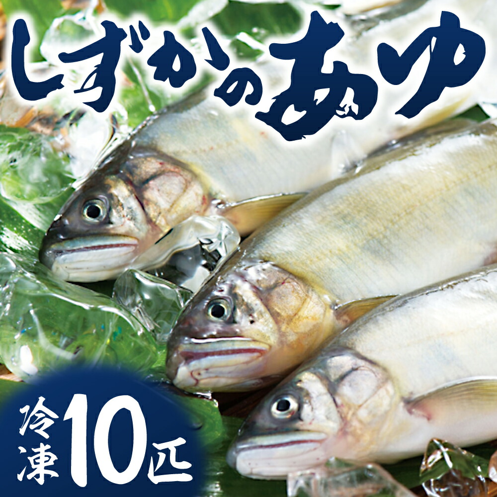 【楽天市場】【ふるさと納税】こだわり生育 しずかのあゆ 冷凍 10尾セット 鮎 アユ 冷凍 魚 魚介 川魚 塩焼き 甘露煮 生あゆ 子持ち鮎:愛知県豊橋市
