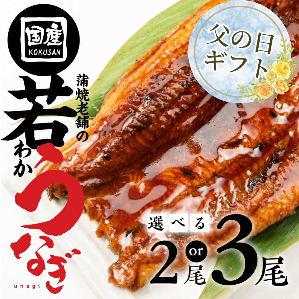 【ふるさと納税】≪父の日お届け≫  国産若うなぎ 2尾～3尾 選べる 老舗 国産うなぎ セット 詰め合わせ 蒲焼 ウナギ 2尾 3尾 厳選 冷凍 丑の日 鰻 国産 高級 蒲焼  お歳暮 お中元 unagi 土用 豊橋うなぎ 愛知県 豊橋市 9000円 13000円