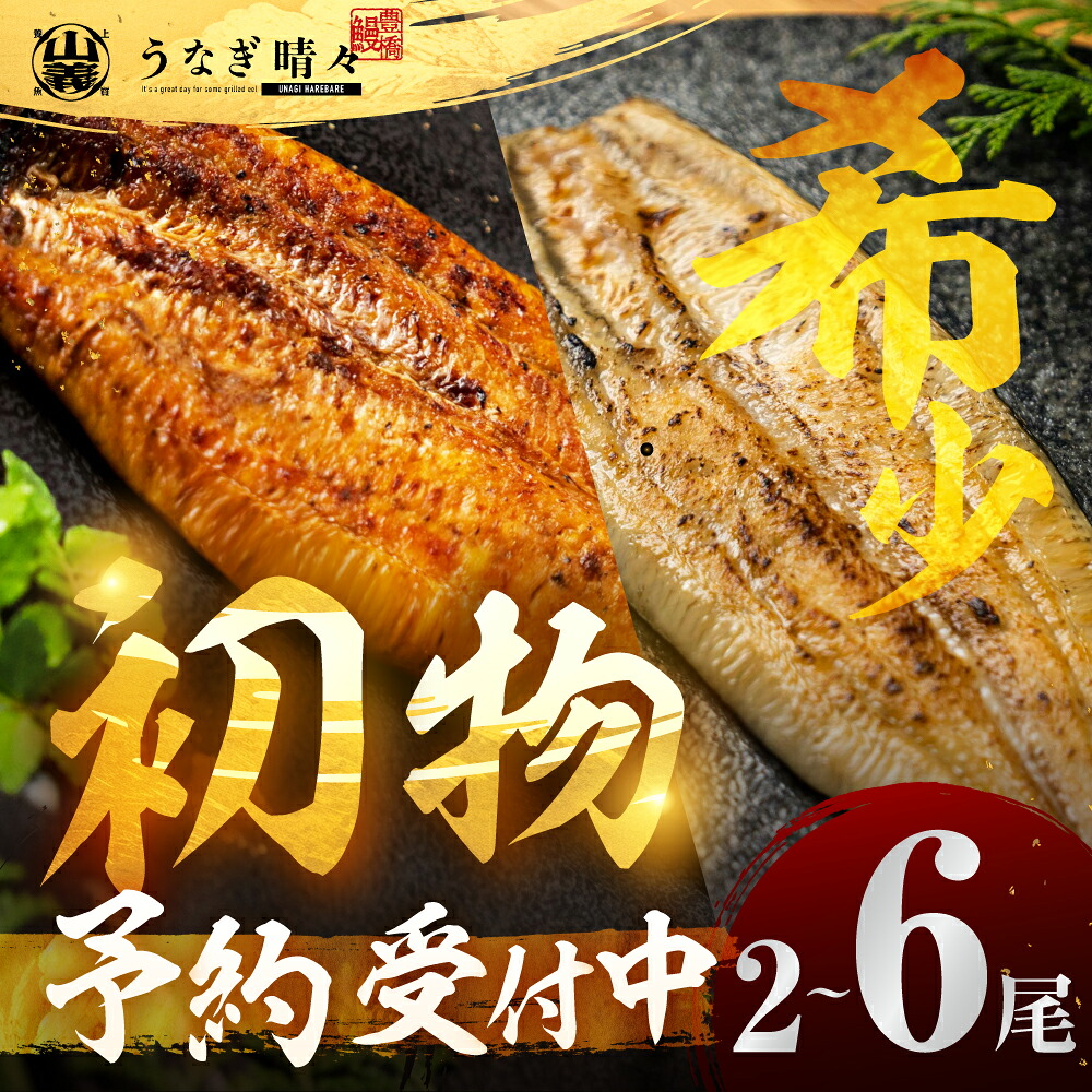 【ふるさと納税】《土用の丑の日までにお届け》うなぎ晴々 紅白セット | 国産 ランキング 掲載 希少 厳選 新仔うなぎ 若うなぎ 鰻 ウナギ うなぎ 鰻 ギフト 土用丑の日 冷凍 お取り寄せ 蒲焼 記念日 1尾 2尾 3尾 4尾 5尾 7尾 初物 初物うなぎ 限定 期間限定 数量限定 丑の日|愛知県豊橋市