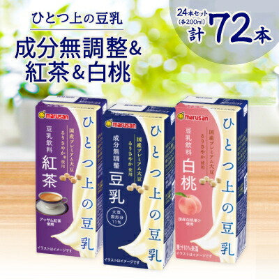 ふるさと納税 ひとつ上の豆乳 成分無調整 200ml×24本セット 愛知県岡崎市 ふるさと納税ひとつ上の豆乳200ml よりどり3ケース(成分