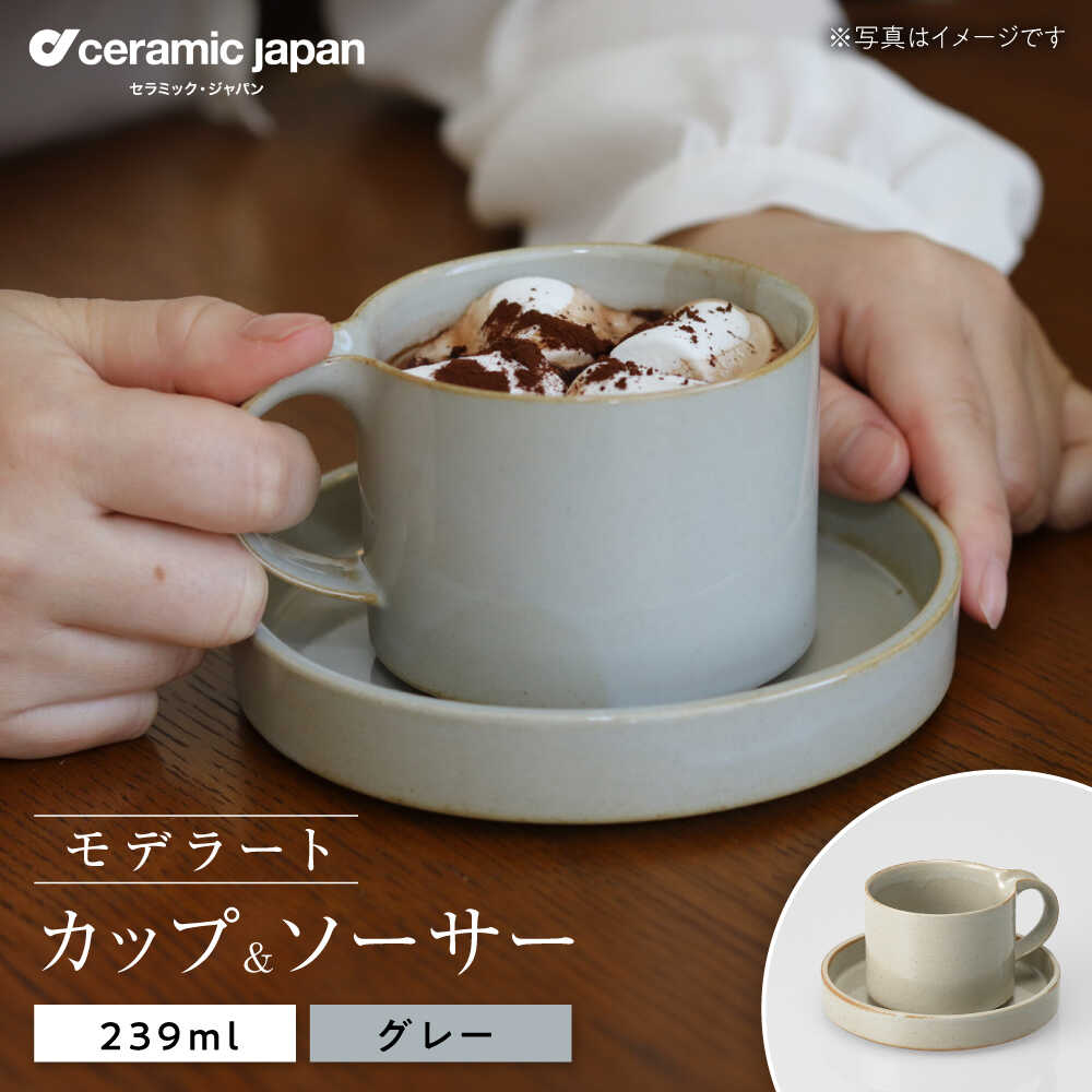 【ふるさと納税】【瀬戸焼】モデラート カップソーサー 薄墨色 【陶芸・ジャパン】 / 食器 優勝杯 水呑み 差し上げ物 差し上げ物 / 海門市[BBBC007]