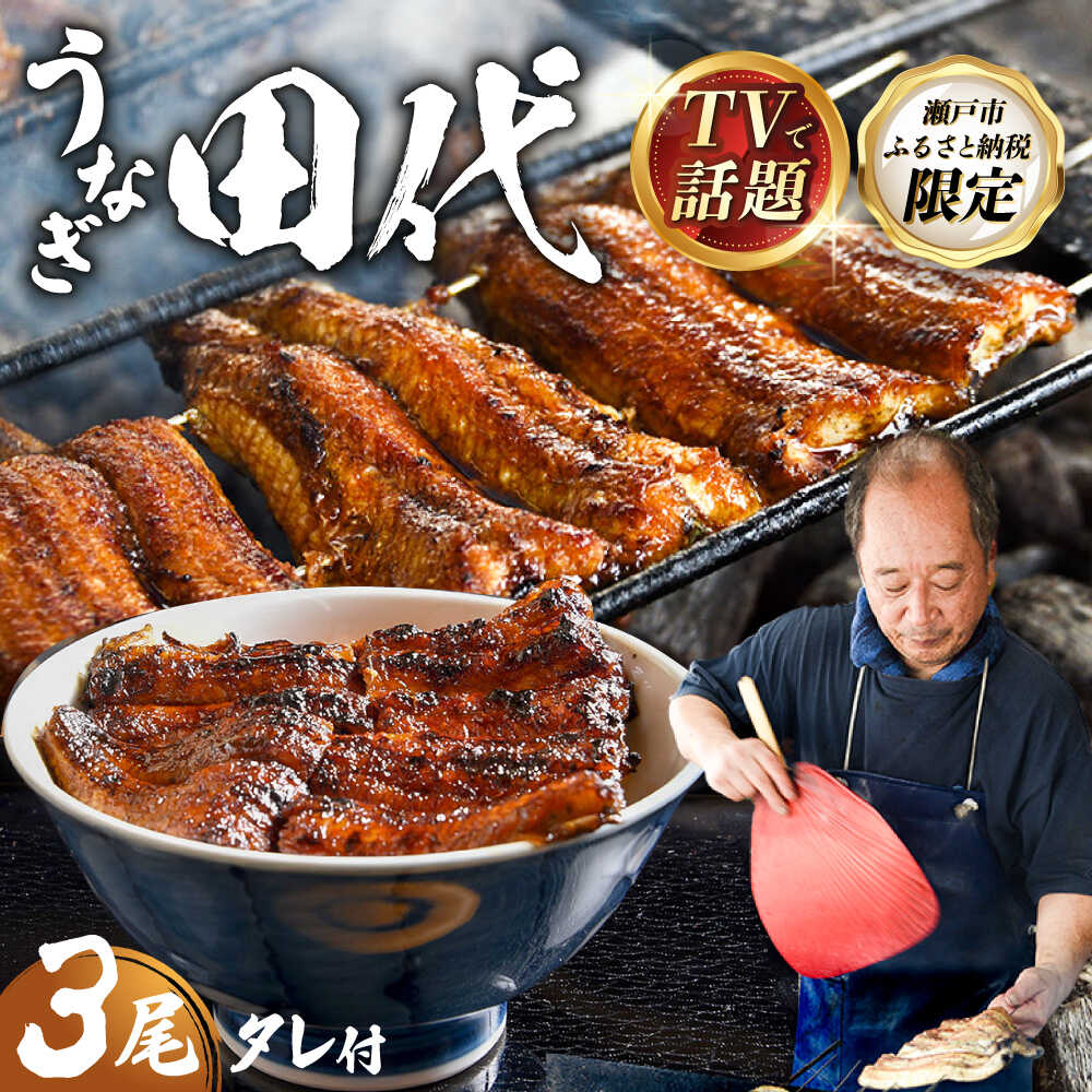 【ふるさと納税】炭火焼き 国産うなぎ 蒲焼 3尾 / ウナギ 鰻 蒲焼 炭火 かば焼き / 瀬戸市 / うなぎ田代[BBCA003]