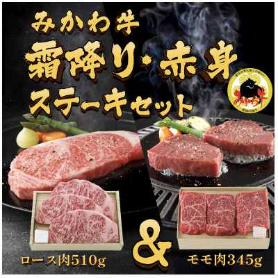 【ふるさと納税】オグリ牧場みかわ牛　霜降り・赤身ステーキセット【配送不可地域：離島】【1556763】
