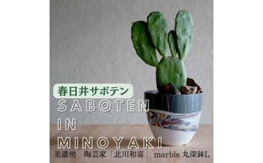 【ふるさと納税】多治見市×春日井市コラボ 【美濃焼】 陶芸家「北川和喜」 marble 丸深鉢 L × 【日本有数のサボテン産地】 春日井市の名店 後藤サボテン|愛知県春日井市